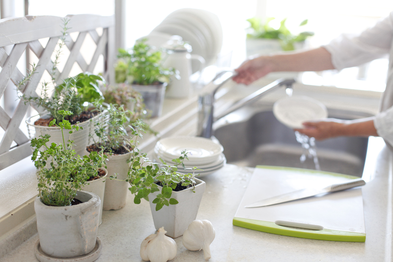 garden plants