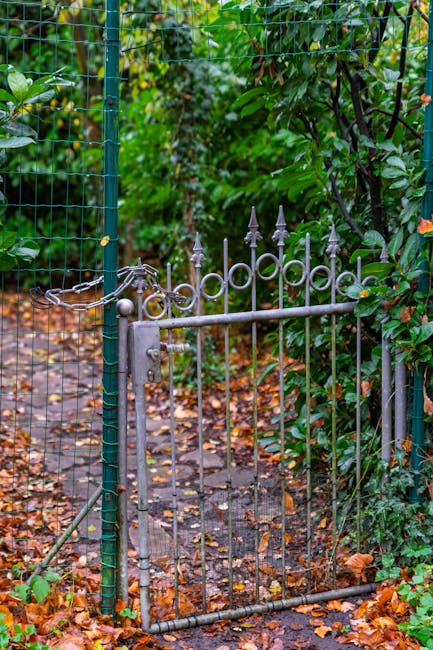 A small, wrought iron garden gate with decorative finials at the top, painted in a weathered gray finish, stands partially open within a lush green garden. Surrounding the gate are densely planted bushes and trees with broad, glossy leaves, some showing signs of seasonal change with brownish edges. To the left, a green wire mesh fencing supports climbing plants, possibly for privacy or protection. The pathway beyond the gate is composed of irregularly shaped paving stones, partly covered with fallen leaves and small twigs, indicating a natural, slightly untended appearance. The soil along the edges of the path appears moist and rich, suggesting recent rain or regular watering. The overall scene is bathed in soft, natural daylight, highlighting the vibrant greens of the foliage and the textures of the garden elements. This image exemplifies typical garden maintenance issues and solutions, as seen in landscaping work by Gardeners Edgware, emphasizing the importance of neat pathways, hedge trimming, and garden fencing to improve accessibility and aesthetics.