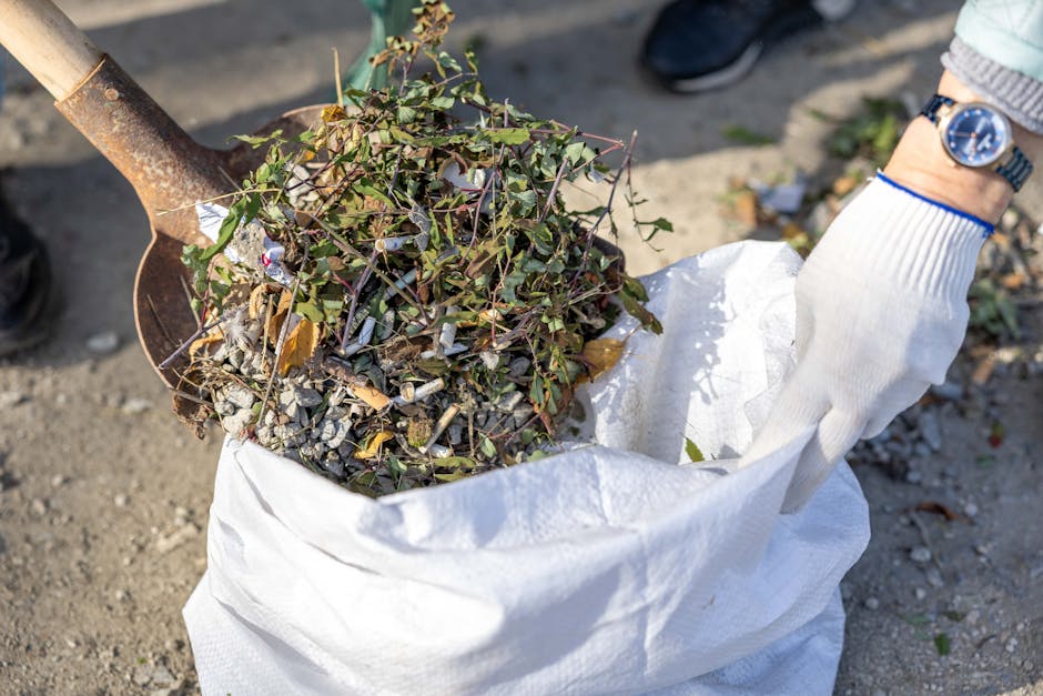 A person wearing a light grey sleeve and a wristwatch is holding a white garden waste bag filled with trimmed and pruned green and brown plant debris, including small branches and leaves. Next to the bag, a rusted shovel with a wooden handle is being used to transfer the garden waste. The background shows a garden area with a mix of gravel and soil, suggesting active garden maintenance. The scene highlights landscaping work such as hedge trimming and general garden clearance, with sunlight casting natural illumination on the area. This image exemplifies effective garden clearance tips suitable for garden owners, as promoted by Gardeners Edgware.