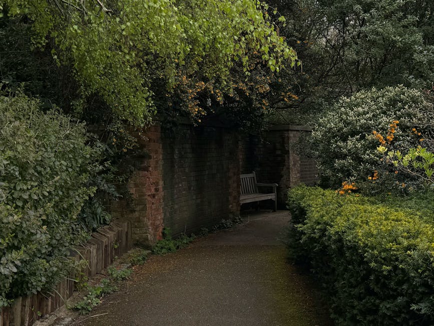 A narrow garden pathway with a paved surface and mossy patches, bordered on both sides by lush, well-maintained greenery. On the left, dense shrubs with glossy, dark green leaves grow alongside a weathered brick wall, partly covered by overhanging branches of a tree with small green leaves. On the right, a neatly trimmed hedge with bright green foliage separates the path from flowering bushes that display clusters of orange and white blossoms. In the background, a wooden bench sits against the brick wall, partly shaded by the foliage, creating a quiet corner for outdoor relaxation. The scene is captured in soft, natural light, emphasizing the textures of the wet soil, leaves, and brickwork, characteristic of a peaceful garden maintained by Gardeners Edgware, aligned with the landscaping work highlighted in the Gardeners HA8 guide for Broadwalk Estate gardens.