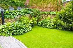 Dependable Lawn Mowing Company in Edgware, HA8